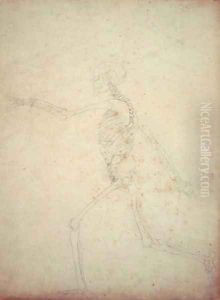Study of the Human Figure, Lateral View, from A Comparative Anatomical Exposition of the Structure of the Human Body with that of a Tiger and a Common Fowl, 1795-1806 10 by George Stubbs