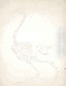 Study of a Fowl, Lateral View, from A Comparative Anatomical Exposition of the Structure of the Human Body with that of a Tiger and a Common Fowl, 1795-1806 9 by George Stubbs