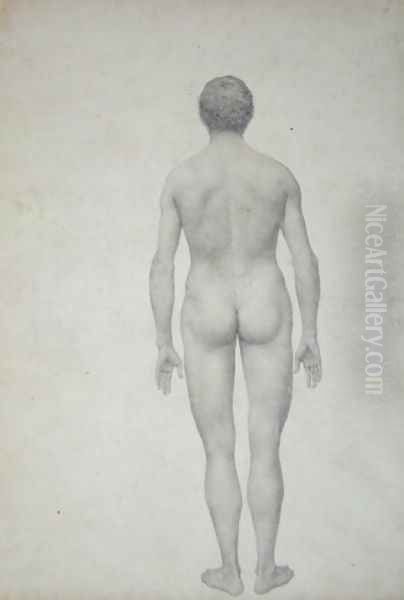 Study of the Human Figure, Posterior View, Undissected, Finished Study for Table VII, from A Comparative Anatomical Exposition of the Structure of the Human Body with that of a Tiger and a Common Fowl, 1795-1806 - view 1