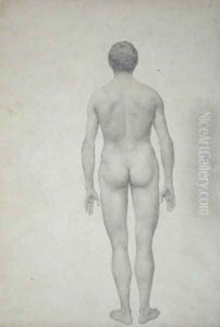 Study of the Human Figure, Posterior View, Undissected, Finished Study for Table VII, from A Comparative Anatomical Exposition of the Structure of the Human Body with that of a Tiger and a Common Fowl, 1795-1806 by George Stubbs