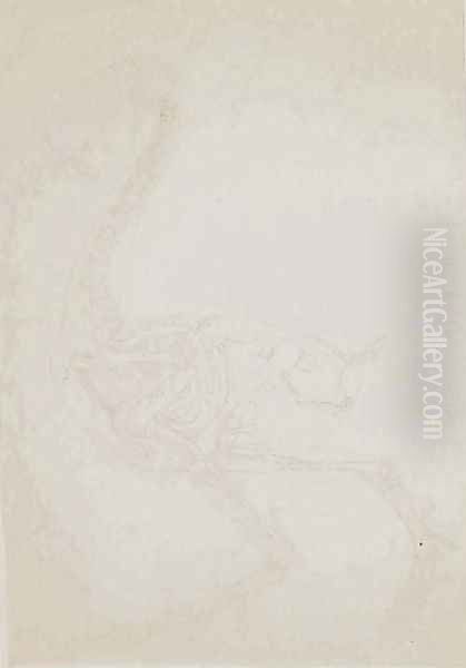 Study of a Fowl, Lateral View, from A Comparative Anatomical Exposition of the Structure of the Human Body with that of a Tiger and a Common Fowl, 1795-1806 10 - view 1
