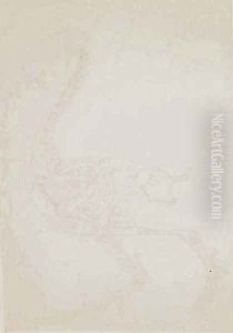 Study of a Fowl, Lateral View, from A Comparative Anatomical Exposition of the Structure of the Human Body with that of a Tiger and a Common Fowl, 1795-1806 10 by George Stubbs