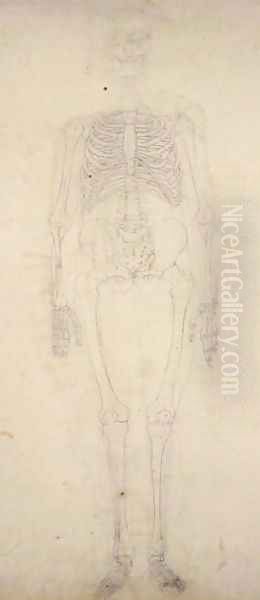 Study of the Human Figure, Anterior View, from A Comparative Anatomical Exposition of the Structure of the Human Body with that of a Tiger and a Common Fowl, c.1795-1806 2 - view 1