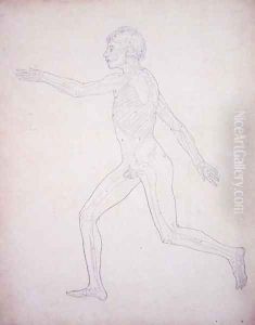 Study of the Human Figure, Lateral View, from A Comparative Anatomical Exposition of the Structure of the Human Body with that of a Tiger and a Common Fowl, 1795-1806 3 by George Stubbs