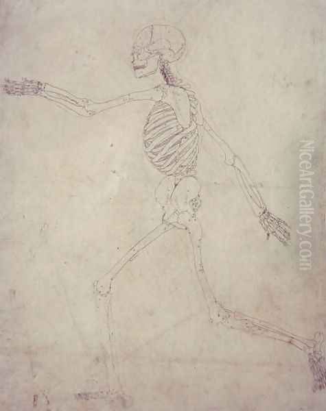 Study of the Human Figure, Lateral View, from A Comparative Anatomical Exposition of the Structure of the Human Body with that of a Tiger and a Common Fowl, 1795-1806 7 - view 1