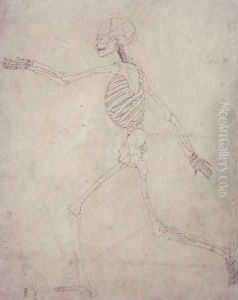 Study of the Human Figure, Lateral View, from A Comparative Anatomical Exposition of the Structure of the Human Body with that of a Tiger and a Common Fowl, 1795-1806 7 by George Stubbs