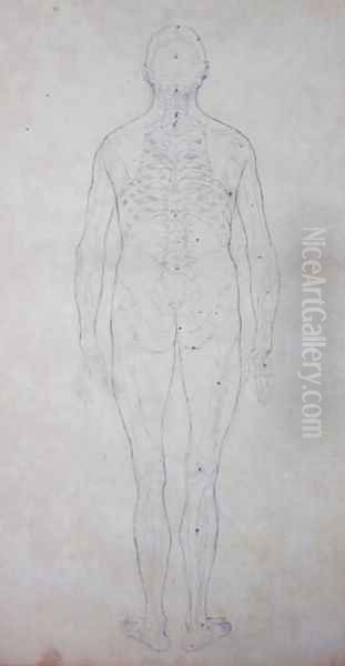 Study of the Human Figure, Posterior View, from A Comparative Anatomical Exposition of the Structure of the Human Body with that of a Tiger and a Common Fowl, c.1795-1806 3 - view 1