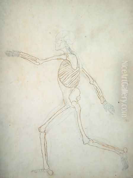 Study of the Human Figure, Lateral View, from A Comparative Anatomical Exposition of the Structure of the Human Body with that of a Tiger and a Common Fowl, 1795-1806 9 - view 1