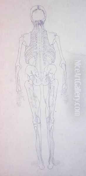 Study of the Human Figure, Posterior View, from A Comparative Anatomical Exposition of the Structure of the Human Body with that of a Tiger and a Common Fowl, c.1795-1806 4 - view 1