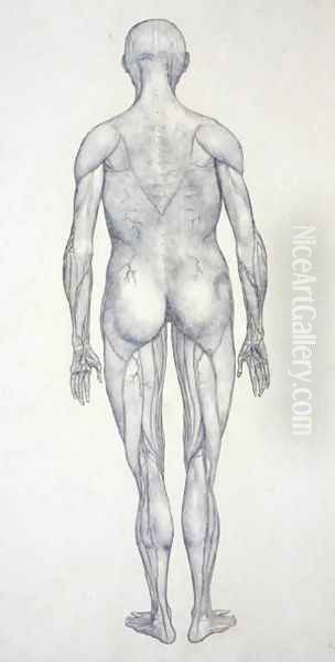 Study of the Human Figure, Posterior View, from A Comparative Anatomical Exposition of the Structure of the Human Body with that of a Tiger and a Common Fowl, c.1795-1806 9 - view 1