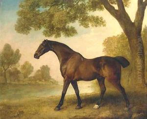 A bay hunter in a wooded river landscape