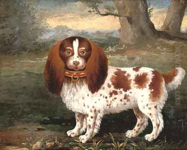 A spaniel in a landscape - view 1