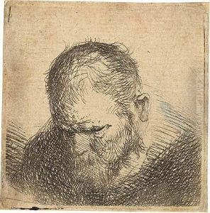 Small Bust Of A Bearded Man Looking Down by Harmenszoon van Rijn Rembrandt