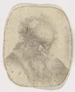 Bust Of An Old Man With Flowing Beard And White Sleeve by Harmenszoon van Rijn Rembrandt