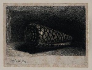 The Shell (conus Marmoreus) (b., Holl.159; H.248; Bb.50-e)