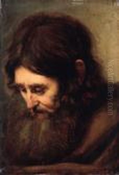 A Bearded Man, Head-and-shoulders - view 1