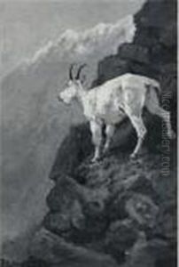 The White Goat At Home (mountain Goat On A Rocky Ledge; Rockymountain Goat) by Frederic Remington