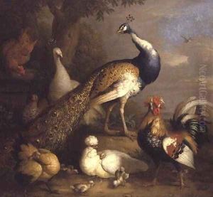 Peacock, Peahen and Poultry in a Landscape by Tobias Stranover
