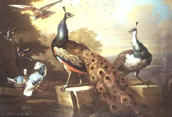 Peacock and Pea Hen in a Landscape - view 1