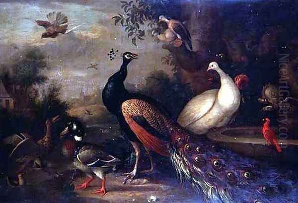 Exotic Birds - view 1