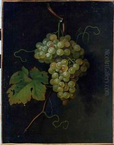 Grapes by Tobias Stranover
