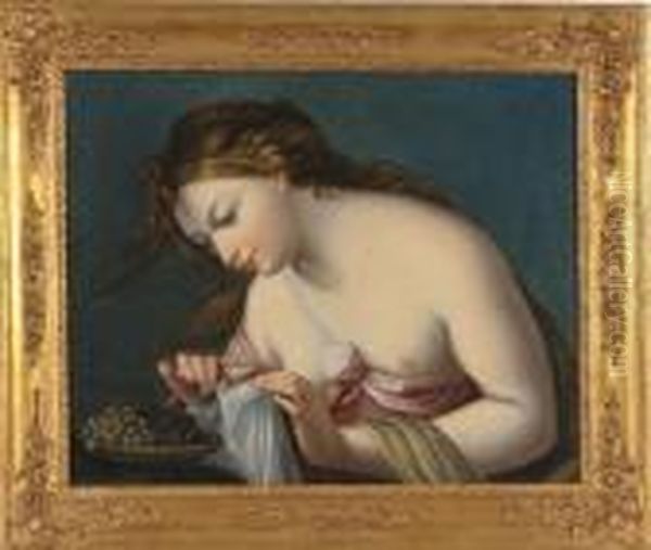 Erigone - view 1