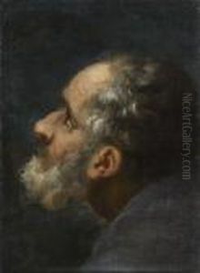 Tete De Vieillard by Guido Reni