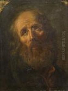 Tete D'homme Barbu by Guido Reni