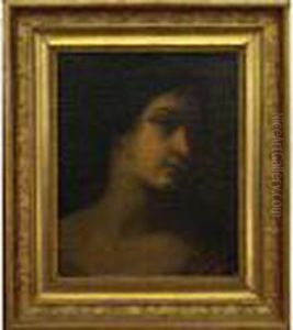 Jeune Femme En Buste