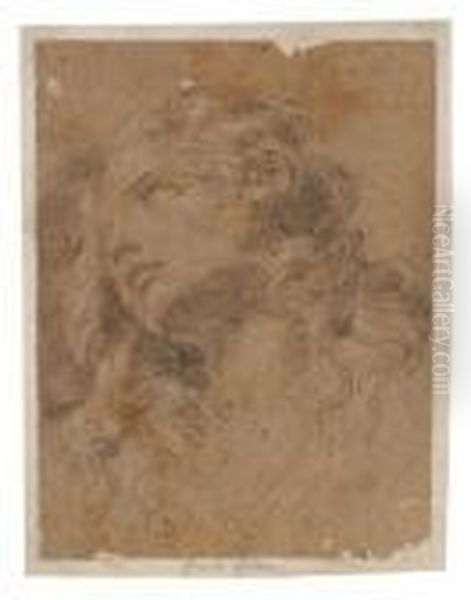 Umkreis Weiblicher Kopf - view 1
