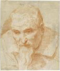 Portrait Of A Bearded Man, Looking Downwards