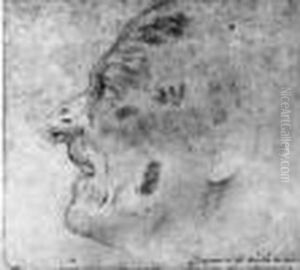 Visage D'homme De Profil A Gauche by Guido Reni