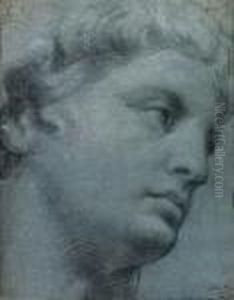 A Study Of A Head After The Antique