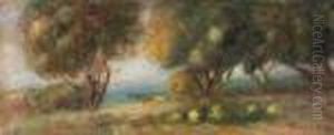 Paysage Au Bord De La Mer