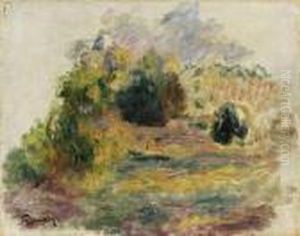 Paysage Paysage