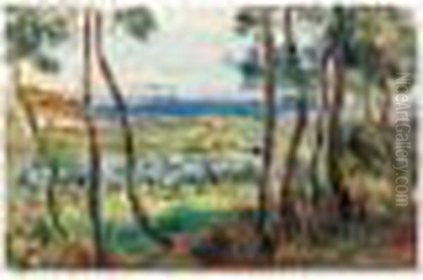 Pins Aux Environs De Cagnes - view 1