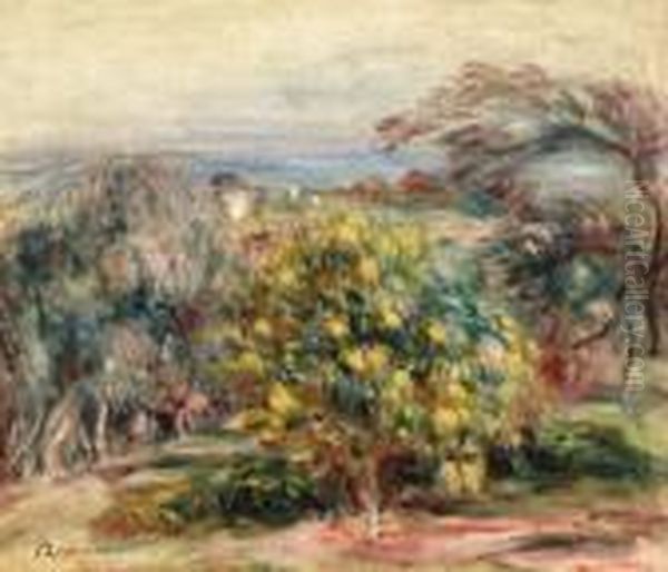 Paysage Des Collettes (landscape At Collettes) - view 1