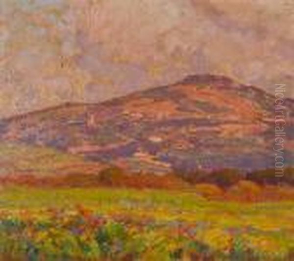 Montenero In Fiore - view 1