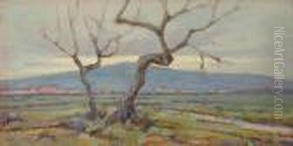 Albero - view 1