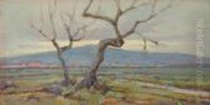 Albero by Renuccio Renucci