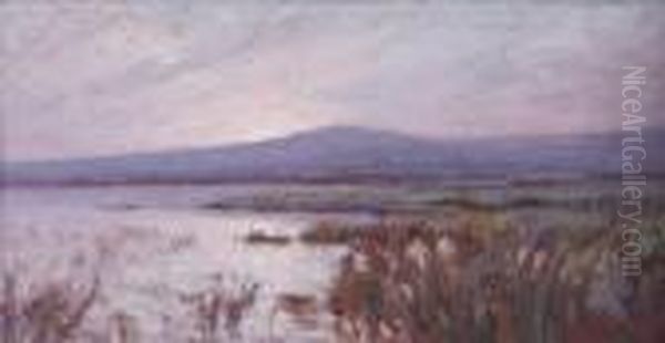 Paesaggio Lacustre - view 1