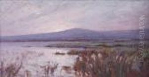 Paesaggio Lacustre