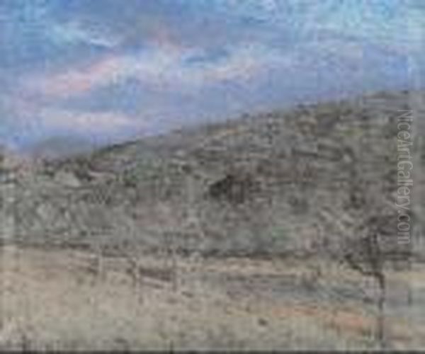 Paesaggio Toscano Al Tramonto - view 1