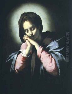 Madonna in Adoration by Bernardo Strozzi
