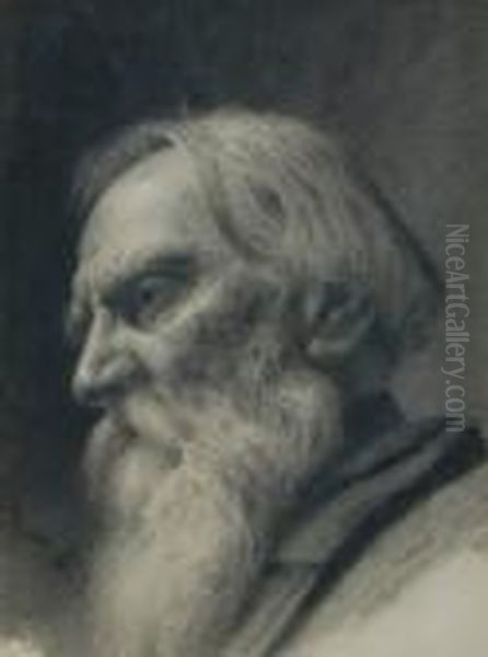 Highly Detailed Pencil Drawing - view 1