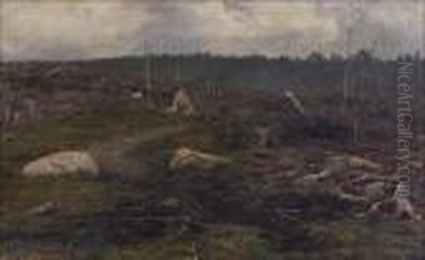 Metsanraivaus. - view 1