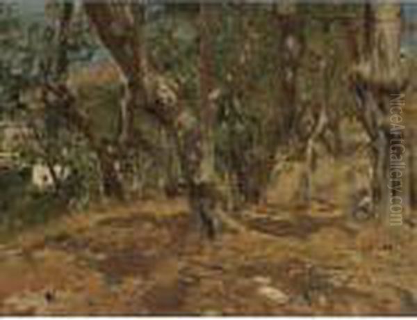 Landscape Study, Capri - view 1