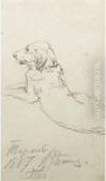 Study Of A Dog - view 1