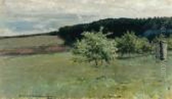 Apple Orchard In Spring - view 1