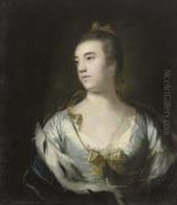 Portrait Of A Lady by Sir Joshua Reynolds